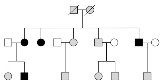 POAG pedigree map